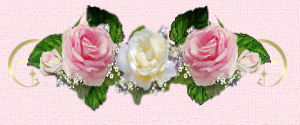 coverpagedkdivider.jpg